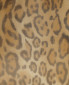 Сорочка из шелка с анималистичным принтом и съемной фурнитурой Grazia'lliani  –  Деталь